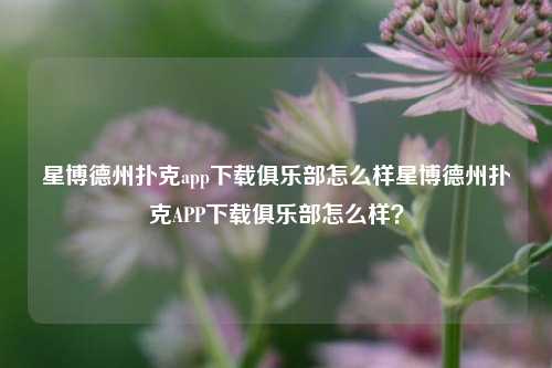 星博德州扑克app下载俱乐部怎么样星博德州扑克APP下载俱乐部怎么样？