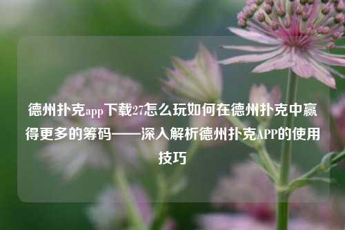 德州扑克app下载27怎么玩如何在德州扑克中赢得更多的筹码——深入解析德州扑克APP的使用技巧