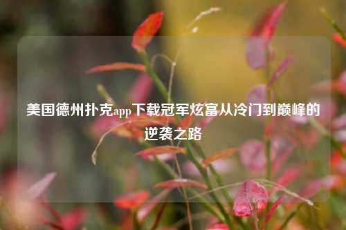 美国德州扑克app下载冠军炫富从冷门到巅峰的逆袭之路