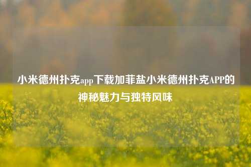 小米德州扑克app下载加菲盐小米德州扑克APP的神秘魅力与独特风味