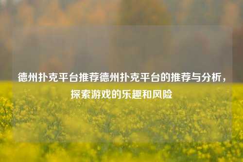 德州扑克平台推荐德州扑克平台的推荐与分析，探索游戏的乐趣和风险