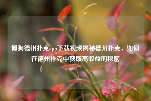 博狗德州扑克app下载视频揭秘德州扑克，如何在德州扑克中获取高收益的秘密