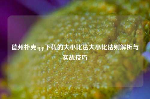 德州扑克app下载的大小比法大小比法则解析与实战技巧