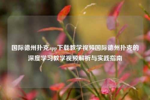 国际德州扑克app下载教学视频国际德州扑克的深度学习教学视频解析与实践指南