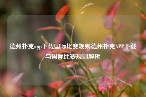 德州扑克app下载国际比赛规则德州扑克APP下载与国际比赛规则解析