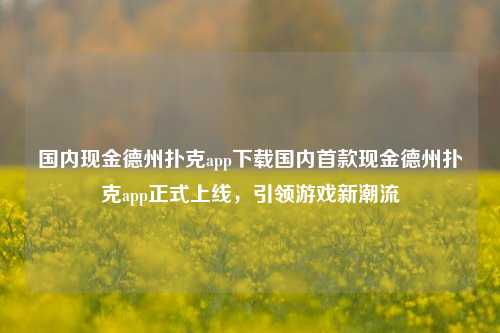 国内现金德州扑克app下载国内首款现金德州扑克app正式上线，引领游戏新潮流