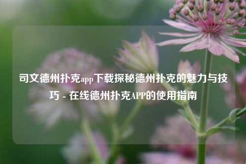 司文德州扑克app下载探秘德州扑克的魅力与技巧 - 在线德州扑克APP的使用指南