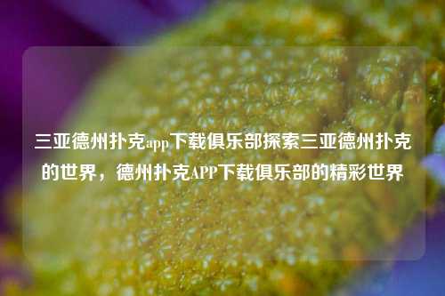 三亚德州扑克app下载俱乐部探索三亚德州扑克的世界，德州扑克APP下载俱乐部的精彩世界
