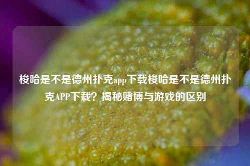 梭哈是不是德州扑克app下载梭哈是不是德州扑克APP下载？揭秘赌博与游戏的区别