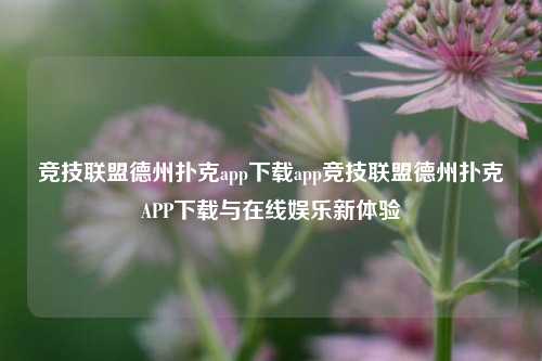 竞技联盟德州扑克app下载app竞技联盟德州扑克APP下载与在线娱乐新体验