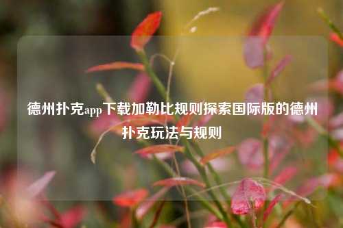 德州扑克app下载加勒比规则探索国际版的德州扑克玩法与规则