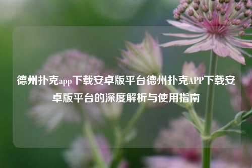 德州扑克app下载安卓版平台德州扑克APP下载安卓版平台的深度解析与使用指南
