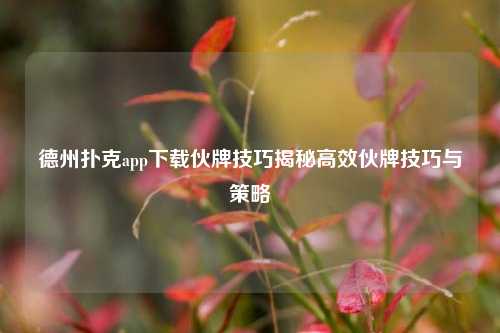 德州扑克app下载伙牌技巧揭秘高效伙牌技巧与策略