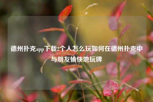 德州扑克app下载2个人怎么玩如何在德州扑克中与朋友愉快地玩牌