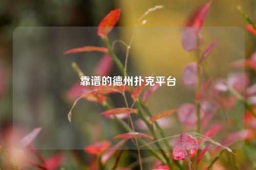 靠谱的德州扑克平台