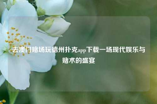 去澳门赌场玩德州扑克app下载一场现代娱乐与赌术的盛宴