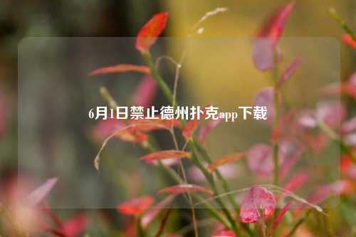6月1日禁止德州扑克app下载