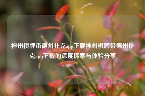 神州棋牌带德州扑克app下载神州棋牌带德州扑克app下载的深度探索与体验分享