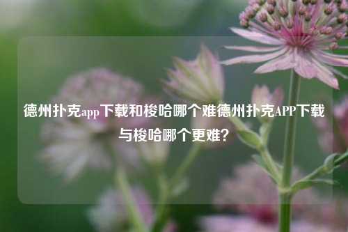 德州扑克app下载和梭哈哪个难德州扑克APP下载与梭哈哪个更难？