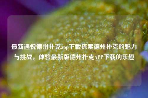 最新遇悦德州扑克app下载探索德州扑克的魅力与挑战，体验最新版德州扑克APP下载的乐趣