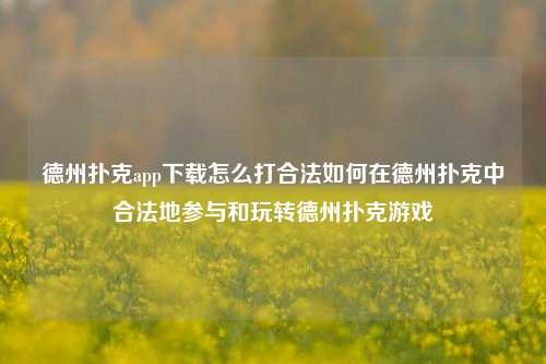德州扑克app下载怎么打合法如何在德州扑克中合法地参与和玩转德州扑克游戏