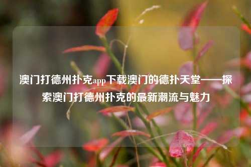澳门打德州扑克app下载澳门的德扑天堂——探索澳门打德州扑克的最新潮流与魅力