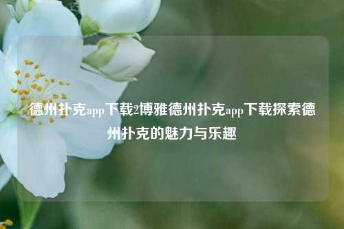 德州扑克app下载2博雅德州扑克app下载探索德州扑克的魅力与乐趣