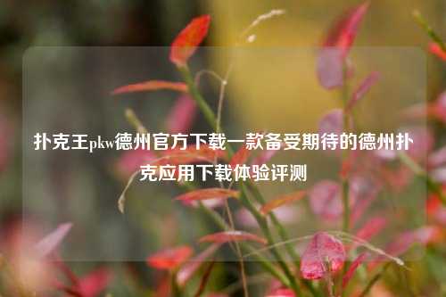扑克王pkw德州官方下载一款备受期待的德州扑克应用下载体验评测
