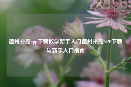 德州扑克app下载教学新手入门德州扑克APP下载与新手入门指南