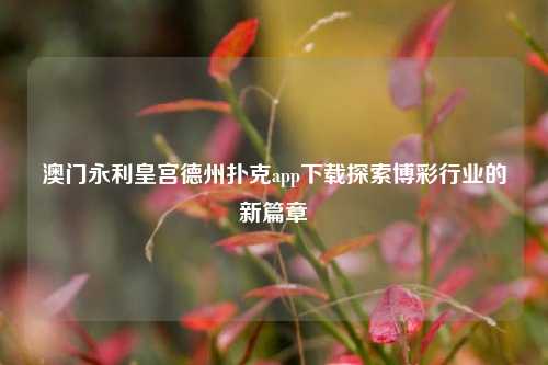 澳门永利皇宫德州扑克app下载探索博彩行业的新篇章