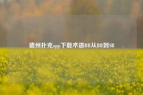 德州扑克app下载术语BB从BB到SB