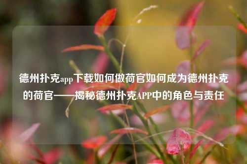 德州扑克app下载如何做荷官如何成为德州扑克的荷官——揭秘德州扑克APP中的角色与责任