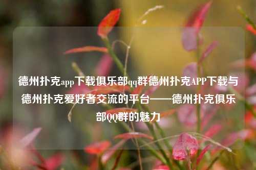 德州扑克app下载俱乐部qq群德州扑克APP下载与德州扑克爱好者交流的平台——德州扑克俱乐部QQ群的魅力