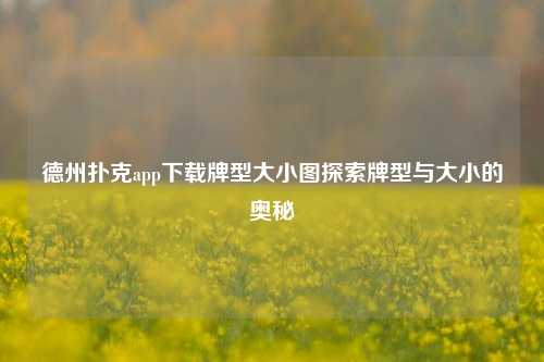德州扑克app下载牌型大小图探索牌型与大小的奥秘