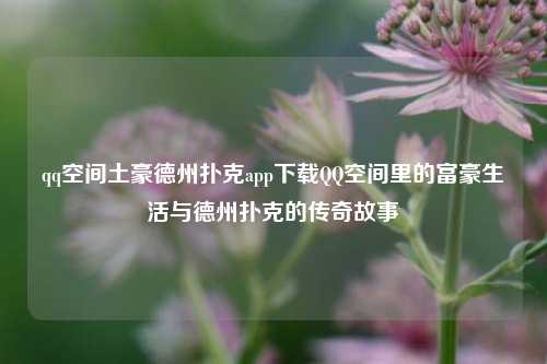 qq空间土豪德州扑克app下载QQ空间里的富豪生活与德州扑克的传奇故事
