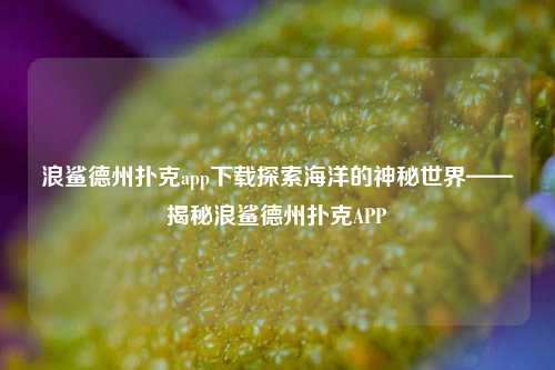 浪鲨德州扑克app下载探索海洋的神秘世界——揭秘浪鲨德州扑克APP