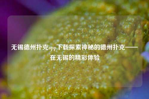 无锡德州扑克app下载探索神秘的德州扑克——在无锡的精彩体验
