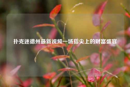 扑克迷德州最新视频一场指尖上的财富盛宴