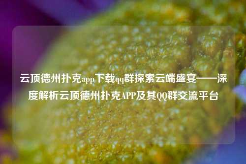 云顶德州扑克app下载qq群探索云端盛宴——深度解析云顶德州扑克APP及其QQ群交流平台