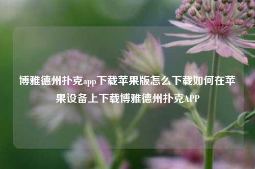 博雅德州扑克app下载苹果版怎么下载如何在苹果设备上下载博雅德州扑克APP