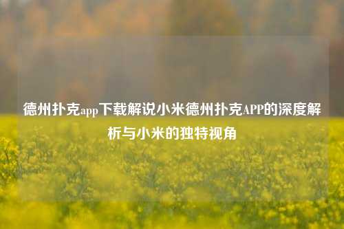 德州扑克app下载解说小米德州扑克APP的深度解析与小米的独特视角