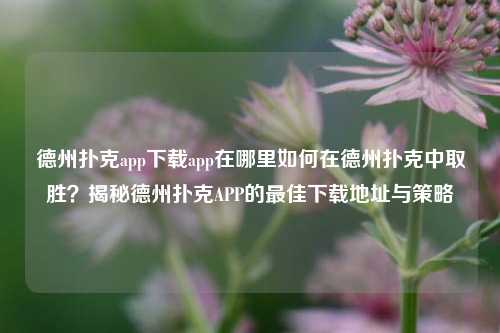 德州扑克app下载app在哪里如何在德州扑克中取胜？揭秘德州扑克APP的最佳下载地址与策略