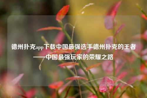 德州扑克app下载中国最强选手德州扑克的王者——中国最强玩家的荣耀之路