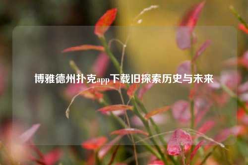 博雅德州扑克app下载旧探索历史与未来