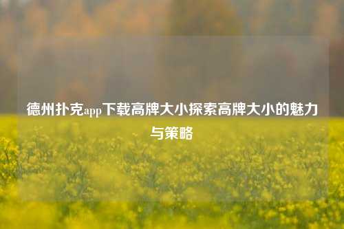 德州扑克app下载高牌大小探索高牌大小的魅力与策略