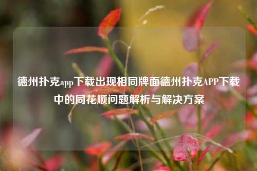 德州扑克app下载出现相同牌面德州扑克APP下载中的同花顺问题解析与解决方案