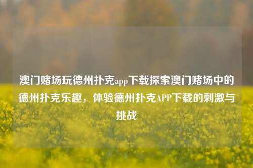 澳门赌场玩德州扑克app下载探索澳门赌场中的德州扑克乐趣，体验德州扑克APP下载的刺激与挑战