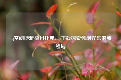 qq空间博雅德州扑克app下载探索休闲娱乐的新领域