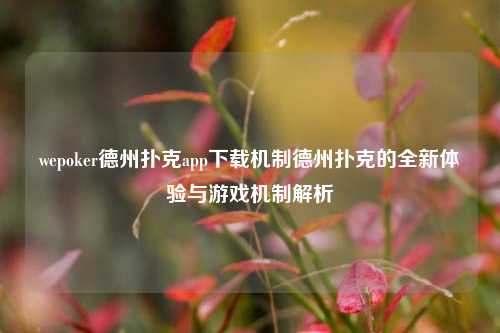 wepoker德州扑克app下载机制德州扑克的全新体验与游戏机制解析