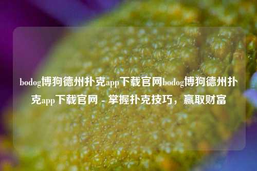 bodog博狗德州扑克app下载官网bodog博狗德州扑克app下载官网 - 掌握扑克技巧，赢取财富